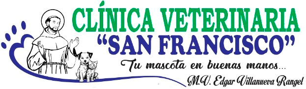 Logo San Francisco